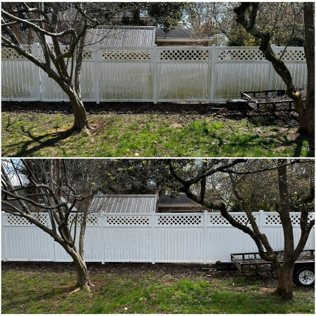 Fence Cleaning